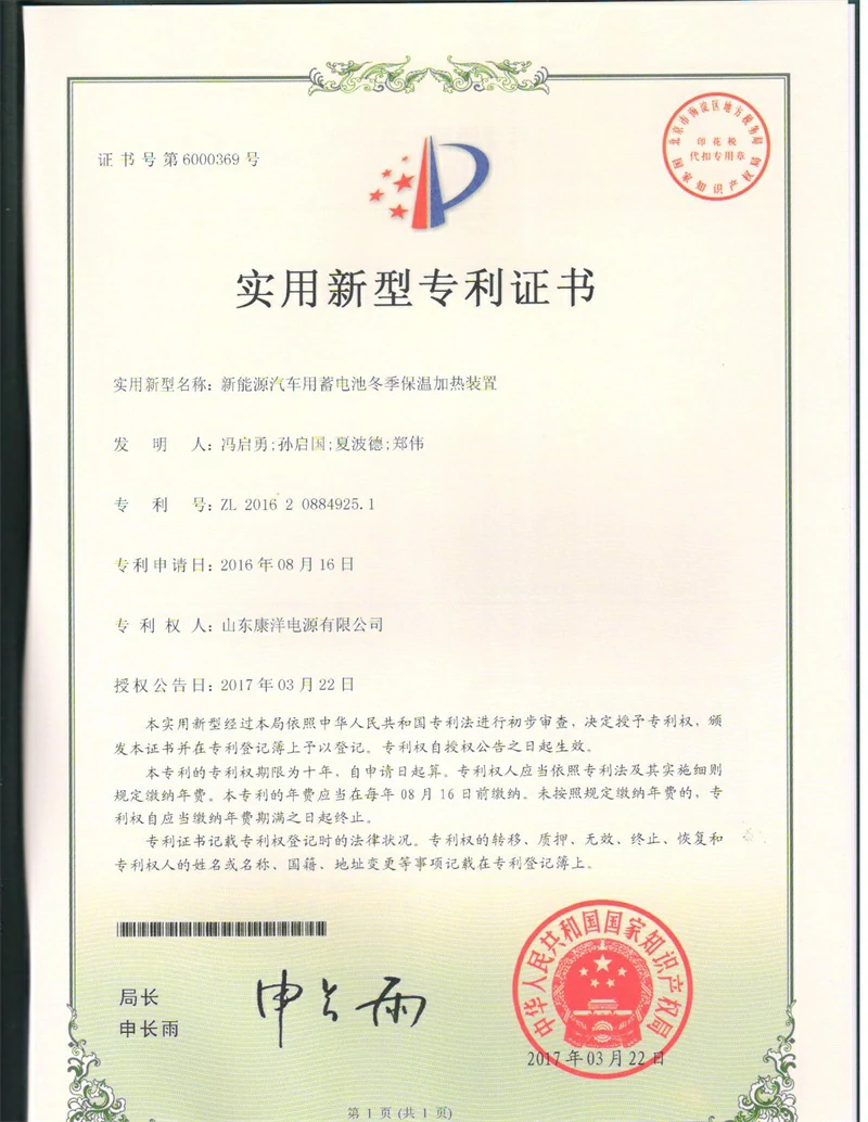 Patent certificate 5